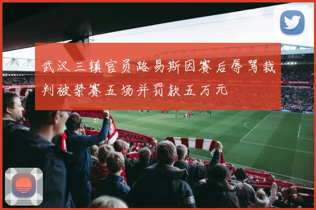 武汉三镇官员路易斯因赛后辱骂裁判被禁赛五场并罚款五万元